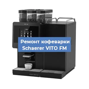 Чистка кофемашины Schaerer VITO FM от накипи в Краснодаре